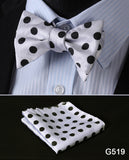 mens womens unisex silk bow tie with pocket square hankerchief plaid checkered polka dots paisley