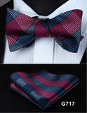 mens womens unisex silk bow tie with pocket square hankerchief plaid checkered polka dots paisley